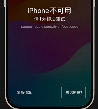 新巴尔虎左苹果手机密码维修分享iPhone忘记了刚设置的密码 