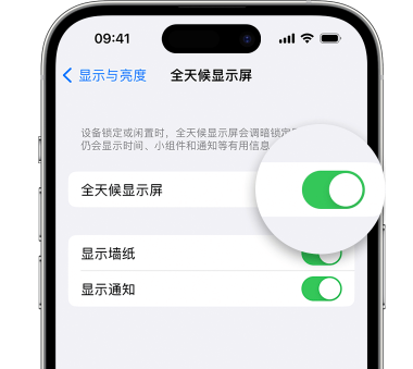 新巴尔虎左苹果15预约维修分享iPhone15如何设置全天候显示屏幕可见 