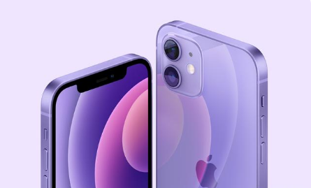 新巴尔虎左苹果手机维修分享紫色版iPhone 12有什么技术亮点 