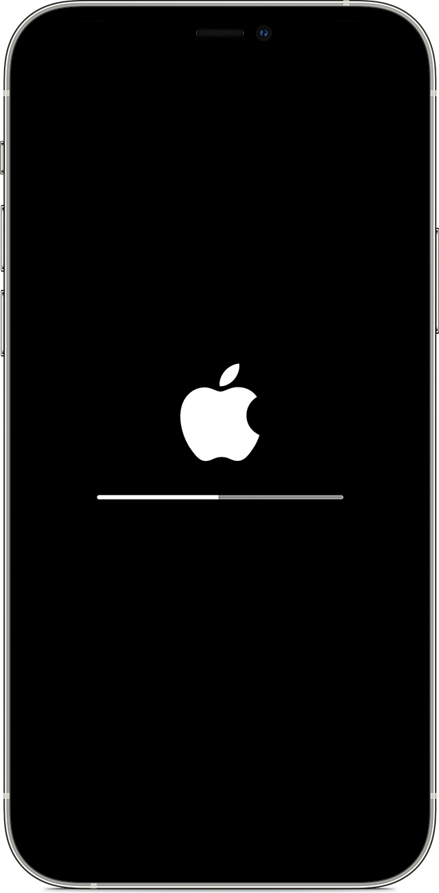 新巴尔虎左苹果手机维修分享iPhone 12 无法更新系统、出现报错的解决办法 