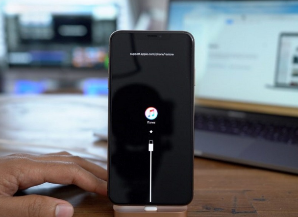 新巴尔虎左苹果手机维修分享iPhone12进DFU教程 