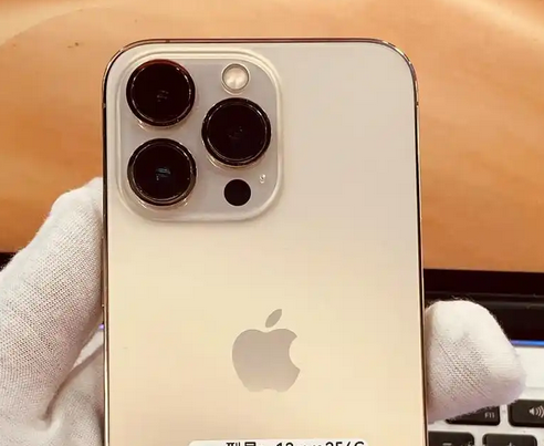 新巴尔虎左苹果13维修中心分享如何在iPhone13上设置动态壁纸 新巴尔虎左苹果13维修中心分享如何在iPhone13上设置动态壁纸